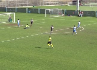 Видеообзор контрольного матча «Динамо» – «Торпедо» (1:1)